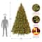 10 Ft. Pre-Lit Feel Real® Downswept Douglas Full Artificial Christmas Tree, Clear Lights